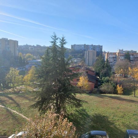 Apartman 23 Beograd Eksteriør billede