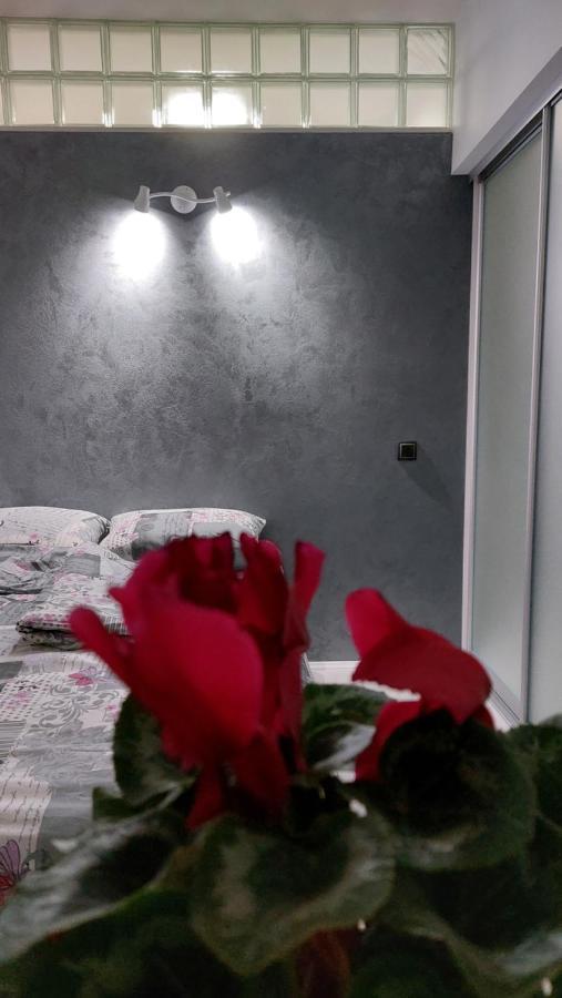 Apartman 23 Beograd Eksteriør billede