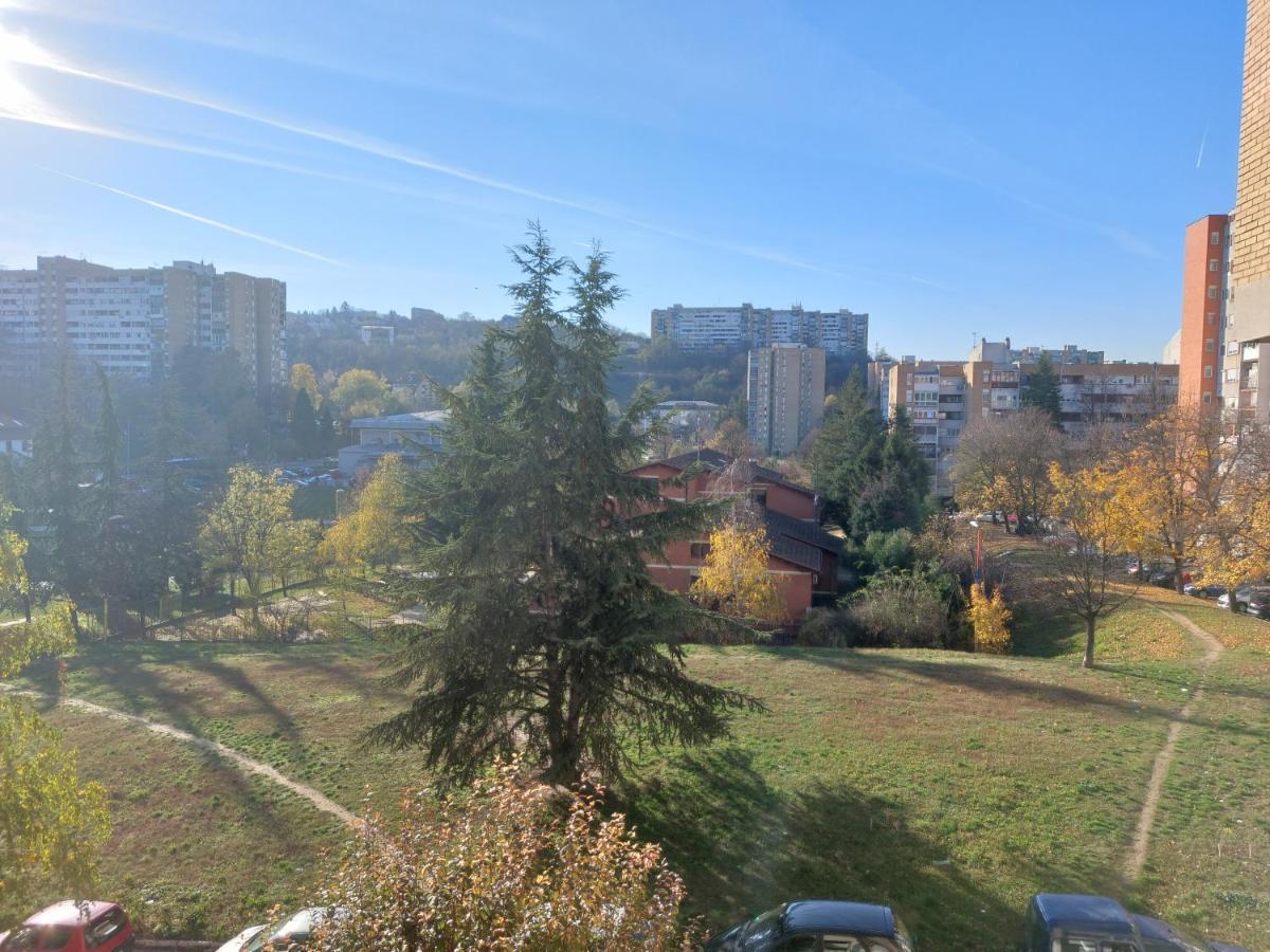 Apartman 23 Beograd Eksteriør billede